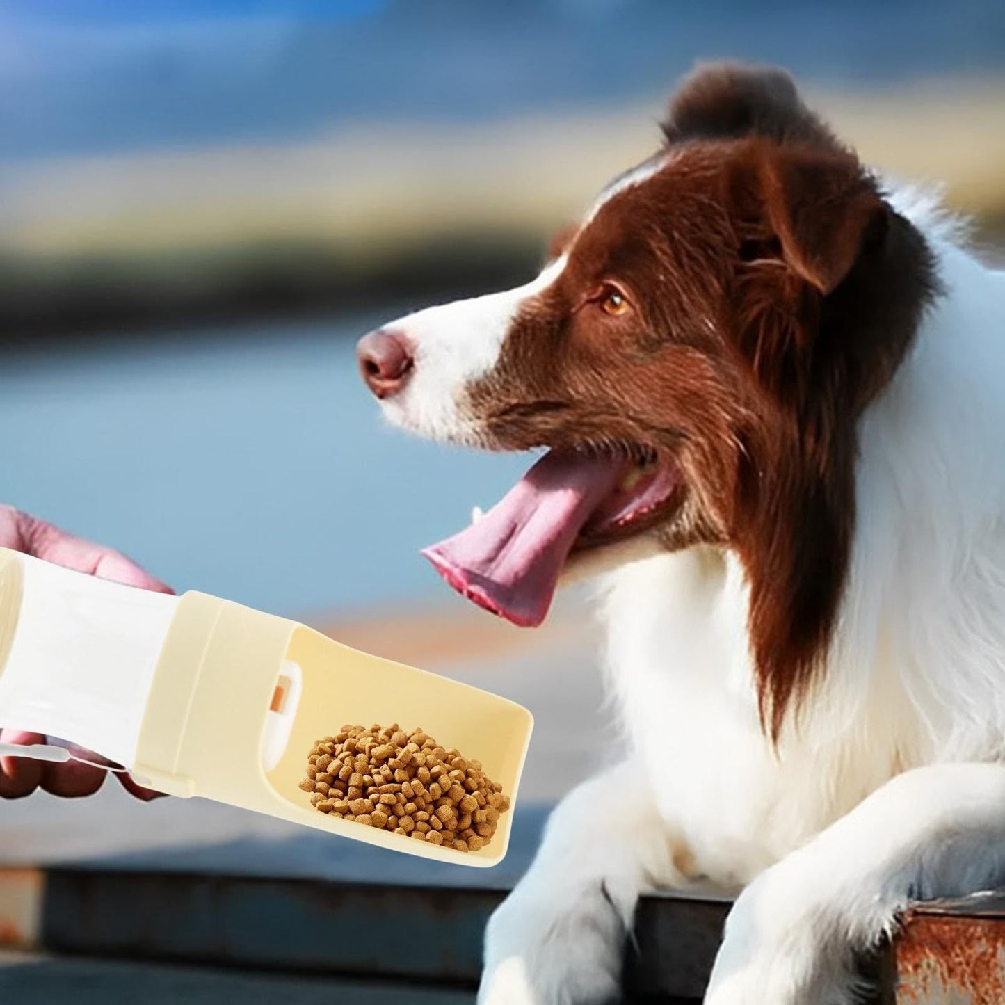 Bottiglia d'Acqua da Viaggio 2 in 1 per Cani - Dispenser e Abbeveratoio Portatile per Animali Domestici, Ideale per Passeggiate e Attività all'Aperto